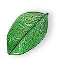 floating_leaf_01 https://timonservices.md/wp-content/uploads/2025/07/floating_leaf_01.png