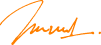 https://timonservices.md/wp-content/uploads/2025/07/signature_01.png