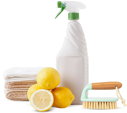 https://timonservices.md/wp-content/uploads/2025/08/shop_image.png