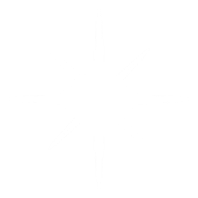 https://timonservices.md/wp-content/uploads/2025/08/sparkle.png